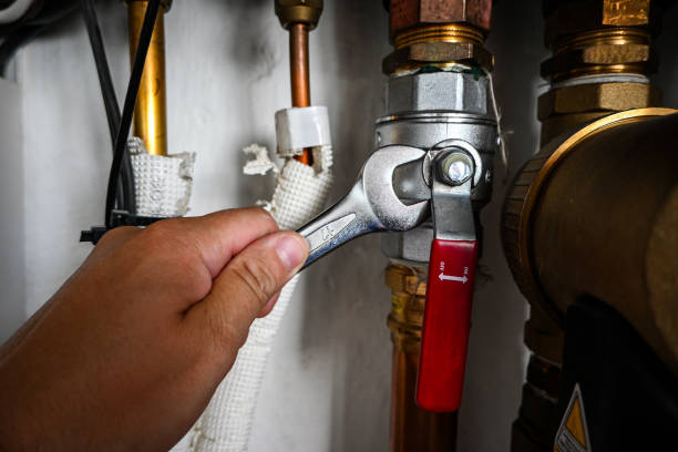 Best Plumbing Services Near Me  in Selinsgrove, PA
